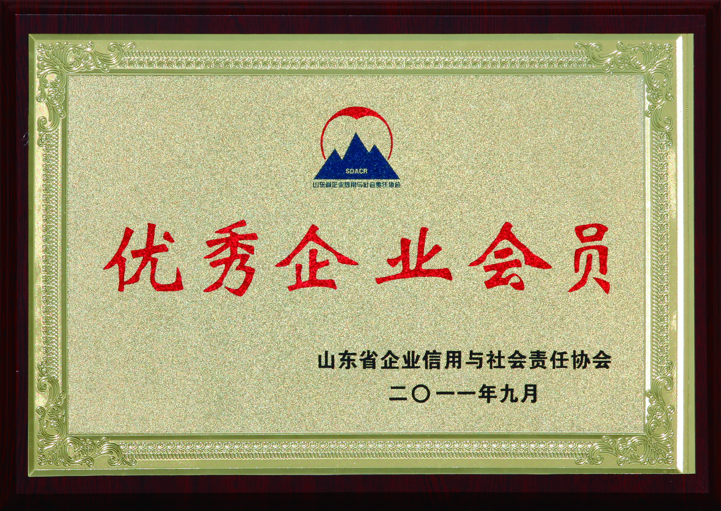 优异企业会员
