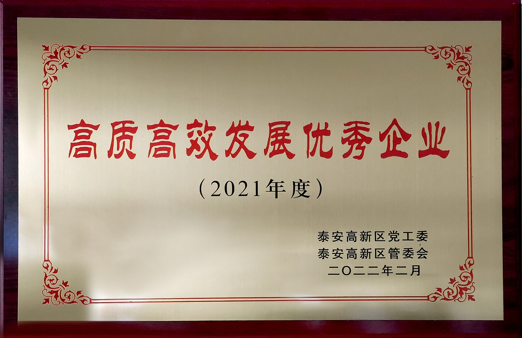2021年度高质高效生长优异企业
